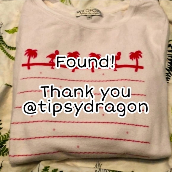 Wildfox Tops - FOUND! YAY! ❤️ Wildfox In-n-Out BBJ